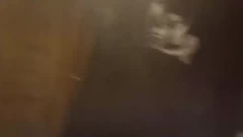 Snapshot of dadpervmind chatting on February 2026 10:25:01 AM dadpervmind online show from February 2026 10:25:01 AM