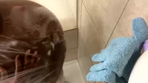 dafoxxx876 online show from November 2025 08:03:02 AM