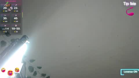 Dakko online show from April 2026 08:03:01 AM