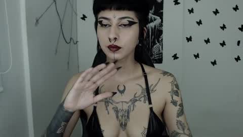 dakota online show from February 2025 06:37:01 AM