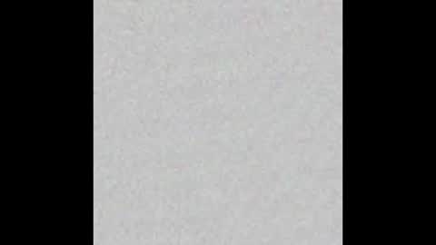 Dakota online show from December 2025 11:27:02 AM