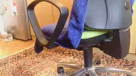 Snapshot of dammerl6 chatting on February 2025 06:59:02 AM Dammerl online show from February 2025 06:59:02 AM