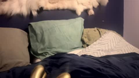 damontsi online show from February 2026 02:48:01 PM