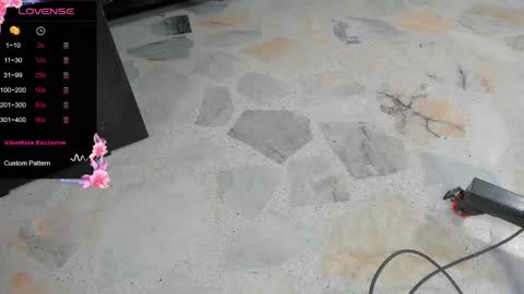 DANI online show from February 2025 02:11:02 PM