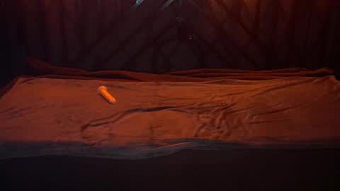 danielareign online show from December 2025 07:26:01 AM