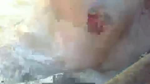 dankz4two0 online show from January 2025 03:09:02 PM