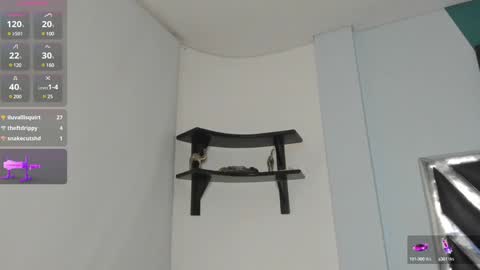 Snapshot of dannadom chatting on December 2024 06:56:02 AM Danna online show from December 2024 06:56:02 AM