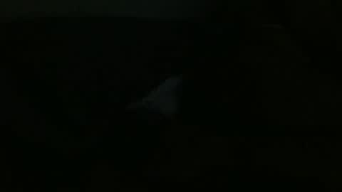 Snapshot of dannithefucksuperstar chatting on December 2024 12:00:02 PM Dee online show from December 2024 12:00:02 PM