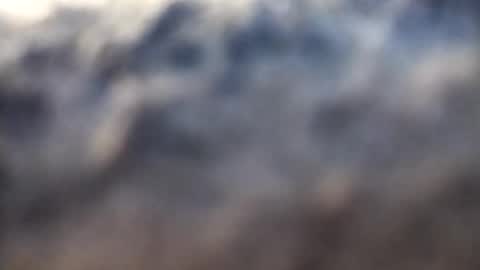 Snapshot of dannowisc chatting on February 2026 02:52:02 AM dannowisc online show from February 2026 02:52:02 AM