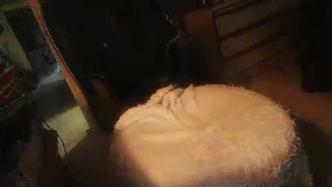 Danielle online show from April 2026 11:29:02 PM