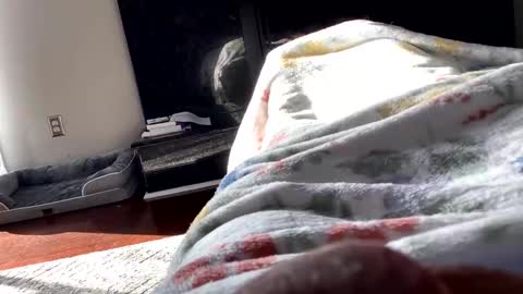 dannyboy621 online show from November 2025 01:56:02 PM