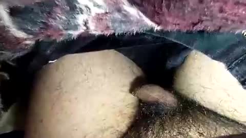 Snapshot of dansweetie_20 chatting on February 2026 10:27:02 PM dansweetie_20 online show from February 2026 10:27:02 PM