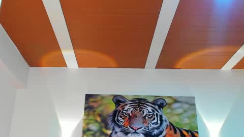 DANTE online show from March 2025 02:51:02 AM