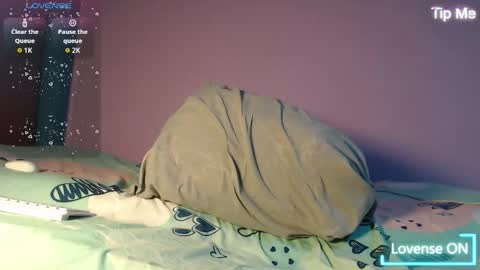 dante_bear online show from November 2025 02:24:01 AM