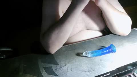 danysanchez1981 online show from December 2025 11:13:02 PM