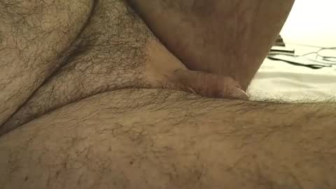 dapppper online show from September 2025 08:52:02 AM