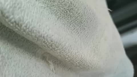 dapppper online show from March 2026 02:56:01 PM