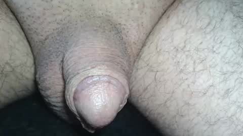 dapppper online show from May 2026 10:10:02 AM