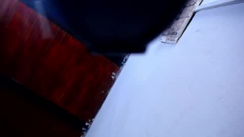 DARA online show from April 2026 10:04:01 PM