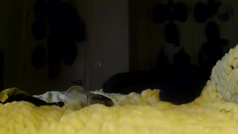 Betty and Robert Play time online show from January 2026 06:08:01 AM