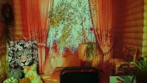 Darina online show from February 2026 06:31:01 AM