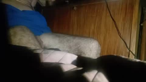 Snapshot of dario48 chatting on December 2024 03:47:02 AM dario48 online show from December 2024 03:47:02 AM