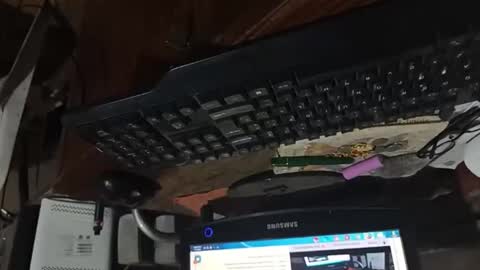 Snapshot of dario48 chatting on November 2025 06:47:02 AM dario48 online show from November 2025 06:47:02 AM