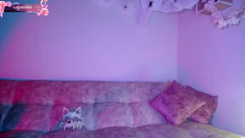 Dark online show from October 2025 11:44:02 AM