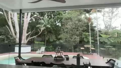 Snapshot of dartanian0001 chatting on September 2025 08:55:02 PM dartanian0001 online show from September 2025 08:55:02 PM