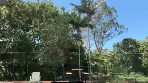 Snapshot of dartanian0001 chatting on September 2025 02:05:01 AM dartanian0001 online show from September 2025 02:05:01 AM