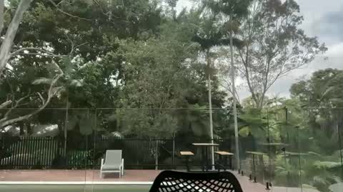 Snapshot of dartanian0001 chatting on October 2025 12:38:01 AM dartanian0001 online show from October 2025 12:38:01 AM