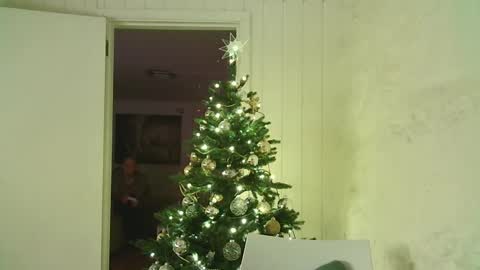 Dario online show from January 2025 04:06:01 PM