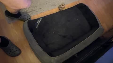 Snapshot of datguy127 chatting on February 2025 05:09:02 AM Datguy127 online show from February 2025 05:09:02 AM