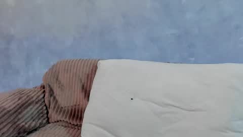 David online show from February 2026 05:14:01 PM