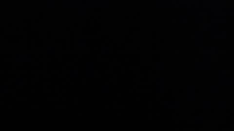 Snapshot of david_olsen chatting on June 2026 09:33:01 AM David online show from June 2026 09:33:01 AM