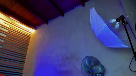 daviid_huge online show from November 2025 01:33:02 PM