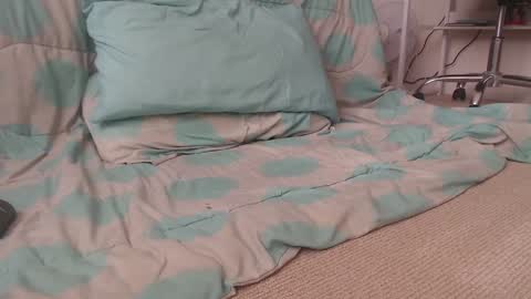 dav online show from December 2024 09:28:01 PM