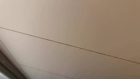 Hornybear online show from April 2026 05:32:01 AM