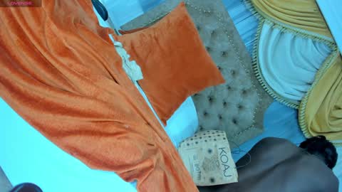 Day Alexa online show from December 2024 11:35:02 PM