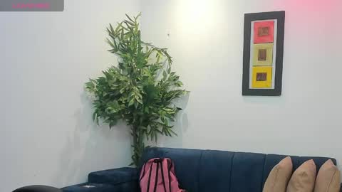 dayan_torres online show from May 2026 11:15:01 AM