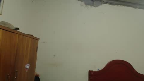 Dylon online show from November 2025 10:58:01 AM