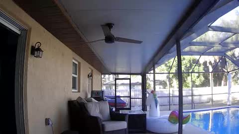 Dazey online show from January 2026 08:55:01 PM