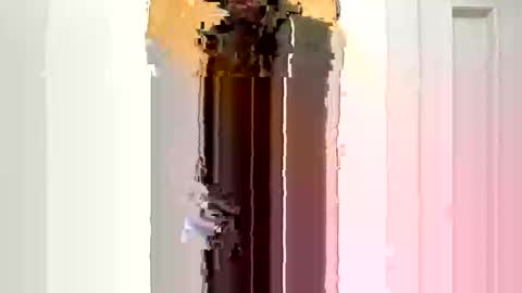 Snapshot of dbg_ls chatting on November 2025 10:14:01 AM dbg_ls online show from November 2025 10:14:01 AM