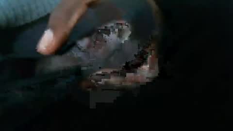 dbizzlenyc online show from February 2025 09:19:01 PM