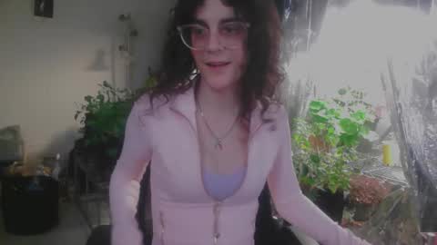 Snapshot of deeralxne chatting on February 2026 05:31:01 PM Alinochka online show from February 2026 05:31:01 PM