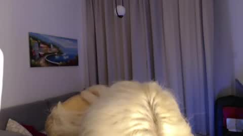 Jenna online show from July 2026 07:16:02 PM