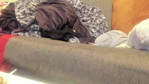 Deez Nutz online show from September 2025 01:38:02 AM