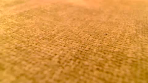 deliciaalove online show from December 2024 07:37:02 PM