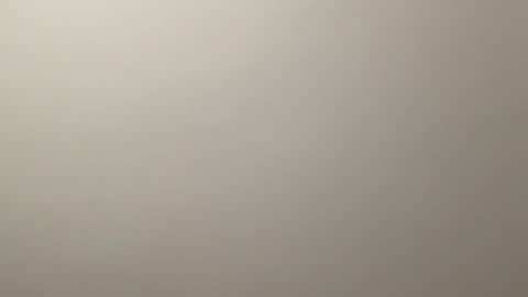 Delivery      online show from December 2024 08:33:02 PM