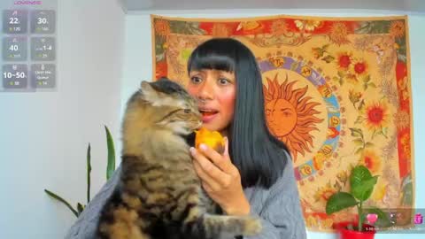 Snapshot of demeter__ chatting on May 2026 10:06:02 PM demeter__ online show from May 2026 10:06:02 PM